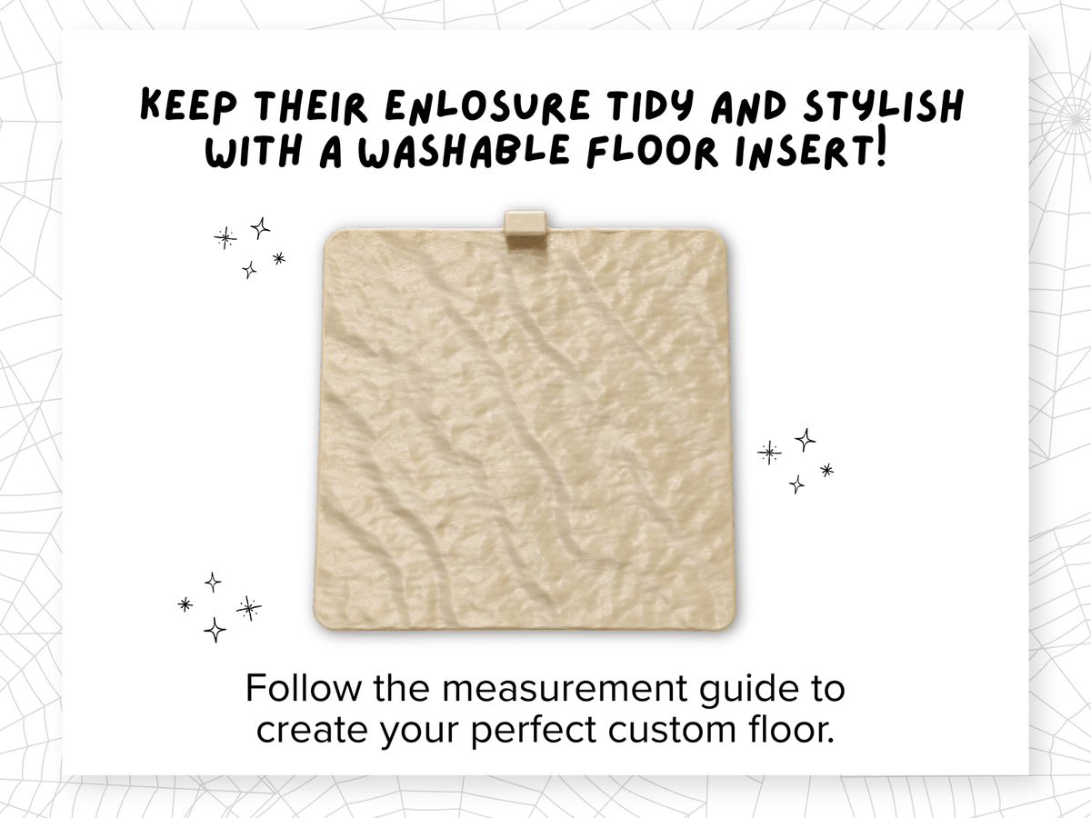 Natural Terrain Floor Insert for Jumping Spider Enclosure, Sand or Snow Texture, 3D Printed Terrarium Floor, Spider Habitat Decor - Spood Society