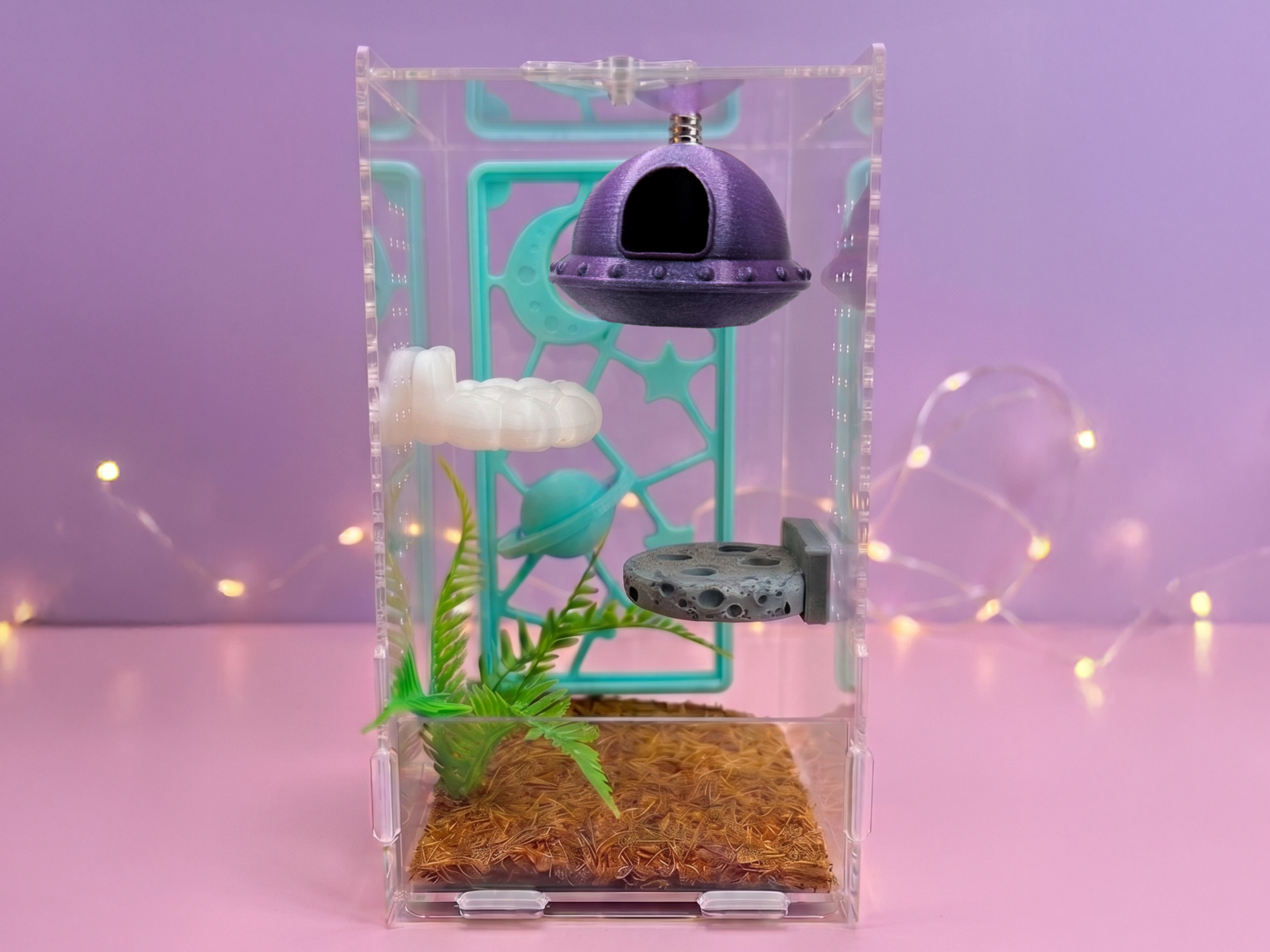 Cosmic Encounter Jumping Spider Enclosure Accessory Set