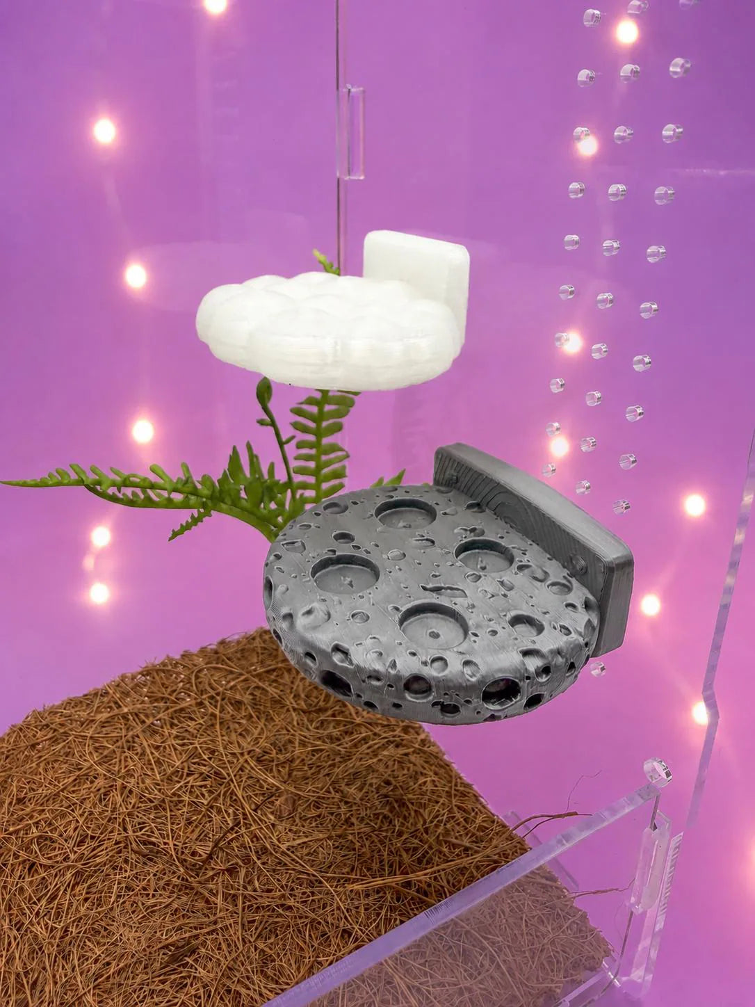 Cloud and space rock magnetic ledges for jumping spider enclosures - Spood Society