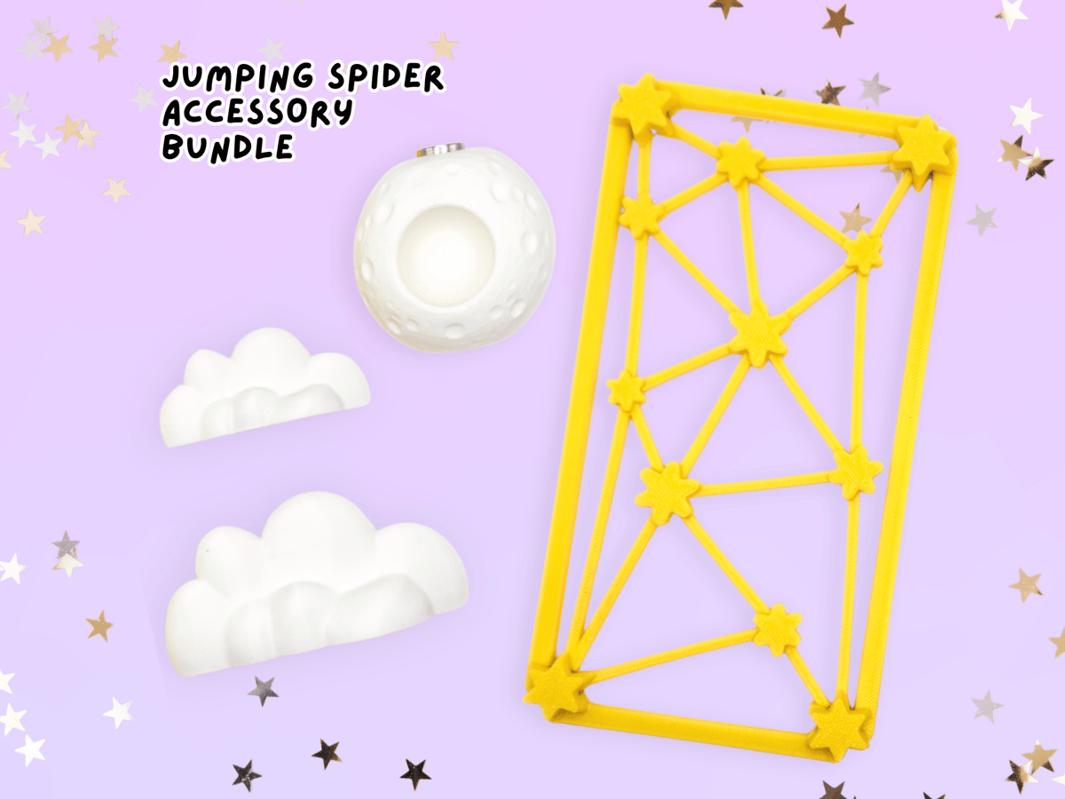 Galaxy Jumping Spider Enclosure Accessory Set - Spood Society