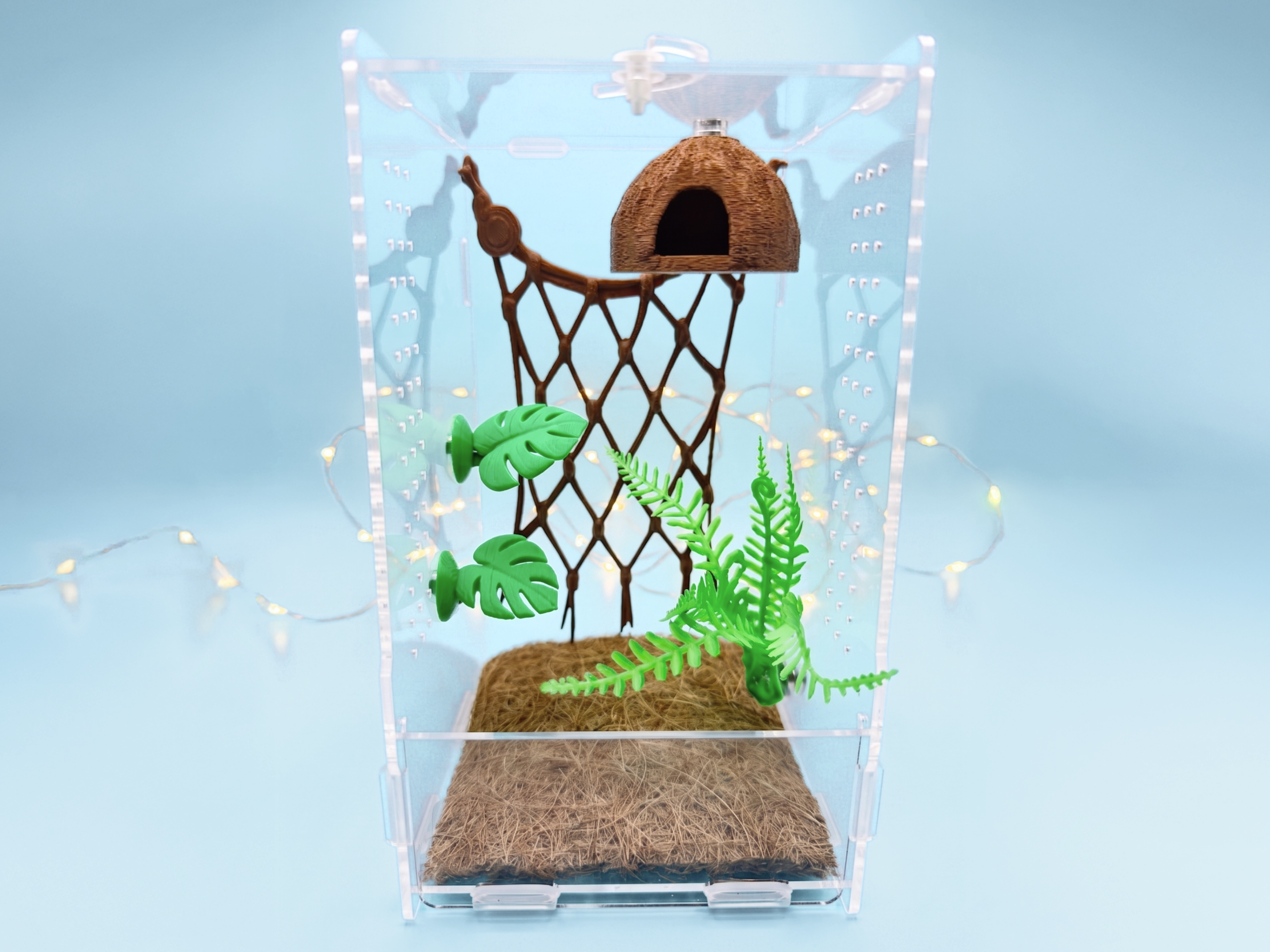 Tropical Coconut Jumping Spider Enclosure Set