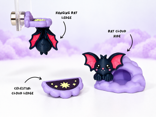 Celestial Bat • Jumping Spider Enclosure