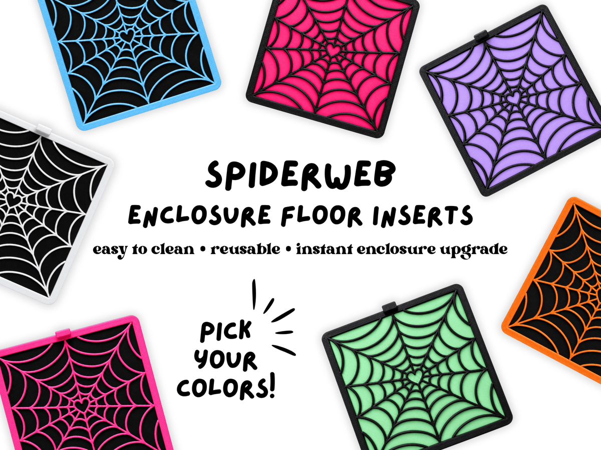Jumping Spider Enclosure Floor Insert - Heart-Shaped Spiderweb - Spood Society