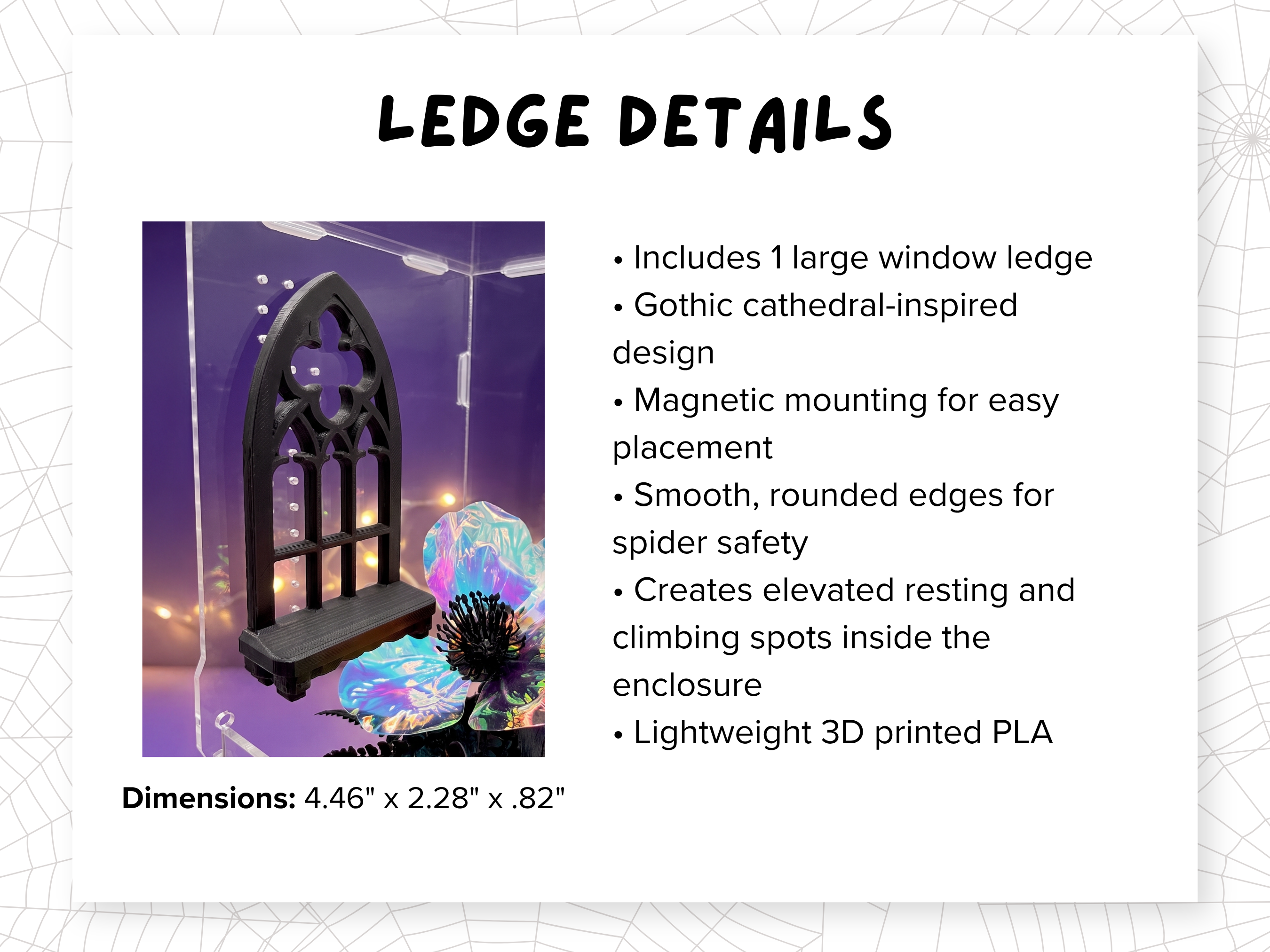 Dimensions diagram for the coffin hide included in the Gothic Pink Coffin Complete Jumping Spider Enclosure - Spood Society
