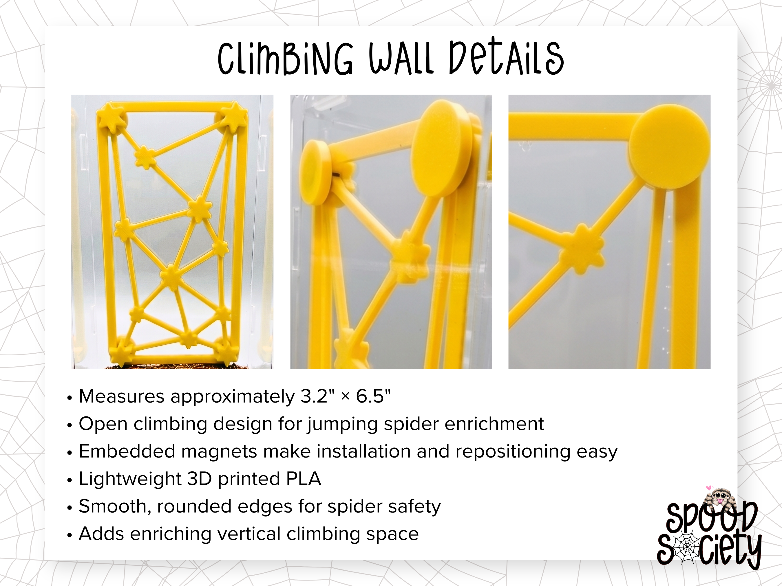 Galaxy Jumping Spider Enclosure Accessory Set