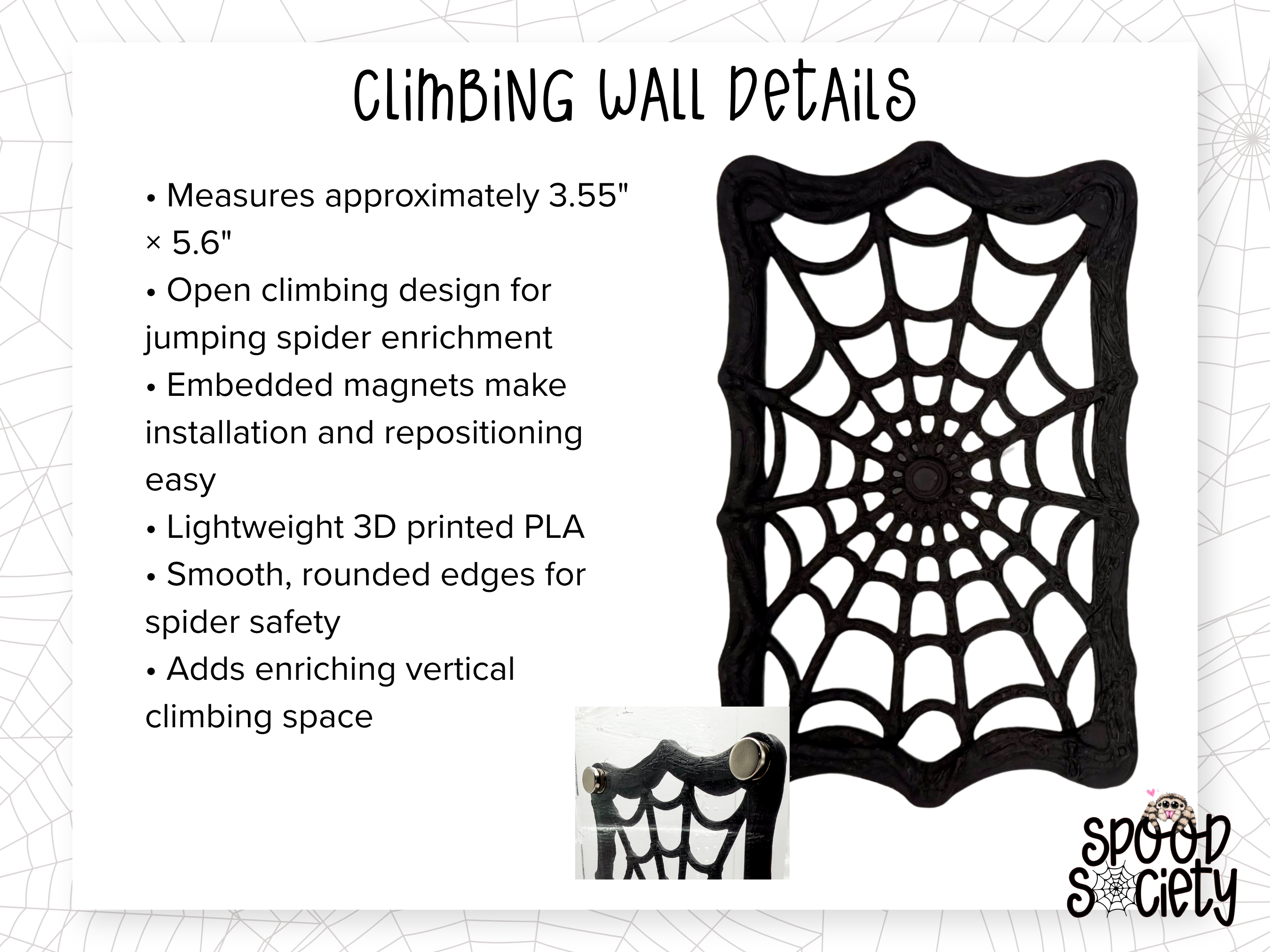 Haunted Jumping Spider Enclosure Accessory Set