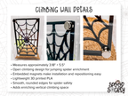 Pretty Little Crypt Jumping Spider Enclosure Set