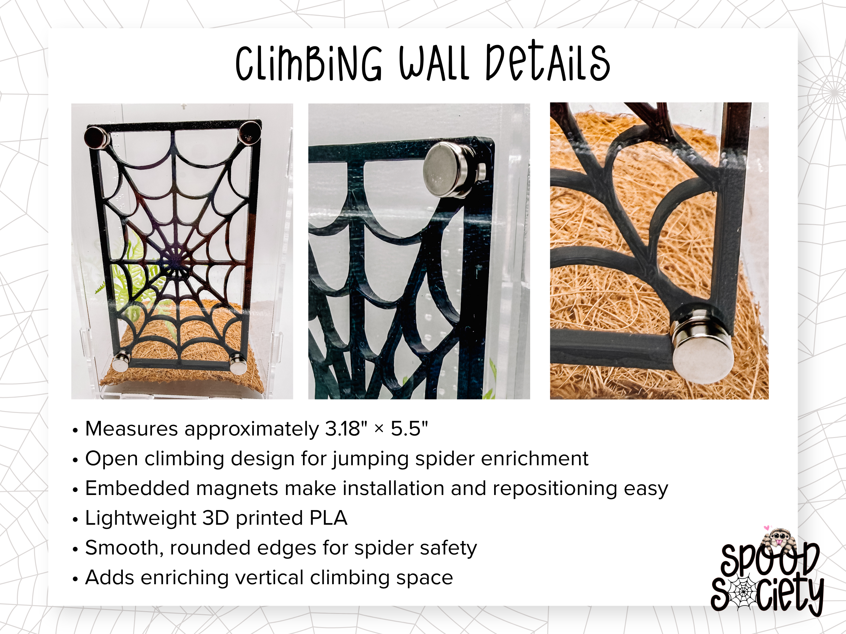 Pretty Little Crypt Jumping Spider Enclosure Set