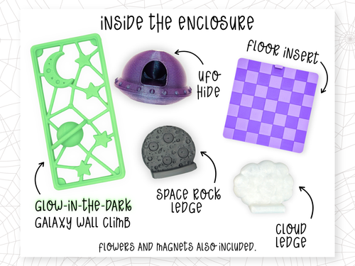 Cosmic Encounter • Glow-in-the-Dark UFO Jumping Spider Enclosure