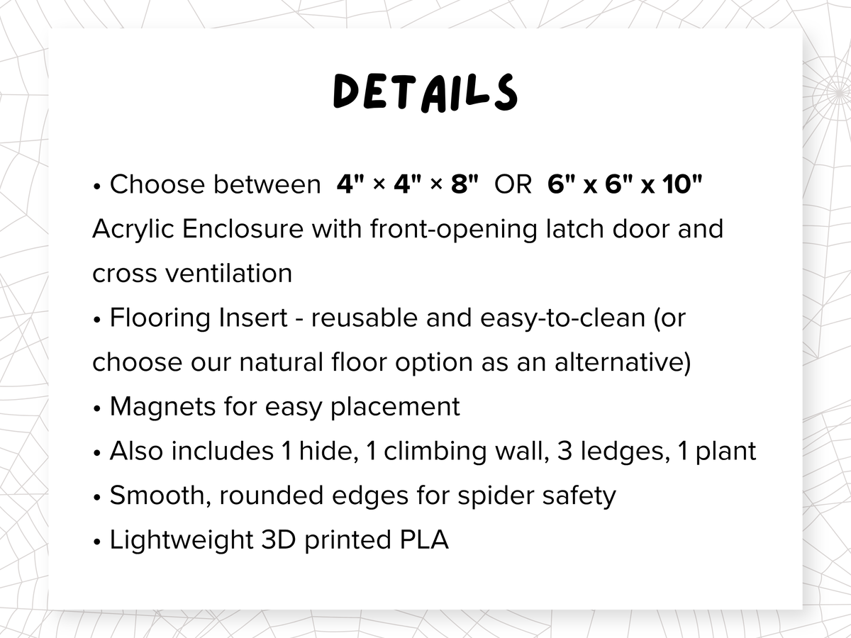 Abominable Adventure • Complete Jumping Spider Enclosure