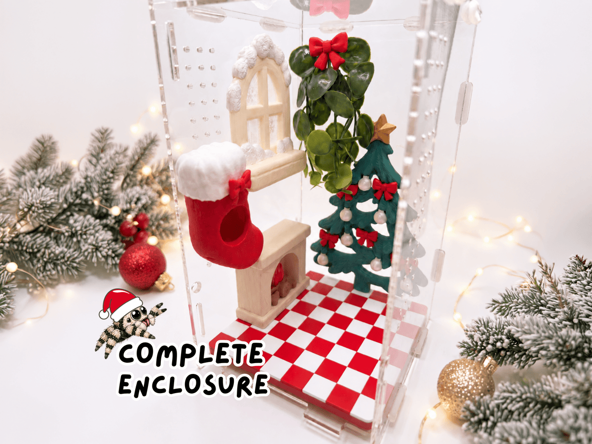 Cozy Christmas • Complete Jumping Spider Enclosure - Spood Society
