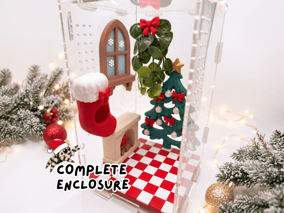 Cozy Christmas • Complete Jumping Spider Enclosure - Spood Society