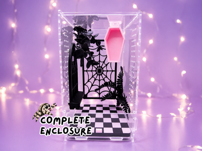 Gothic Pink Coffin Complete Jumping Spider Enclosure - full setup - Spood Society
