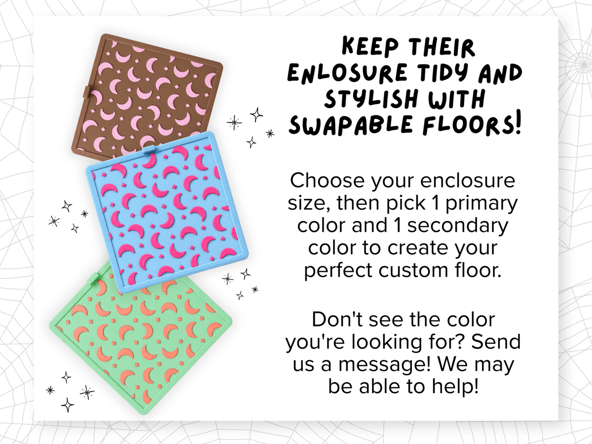 Jumping Spider Enclosure Floor Insert - Stars + Moon Pattern - Spood Society