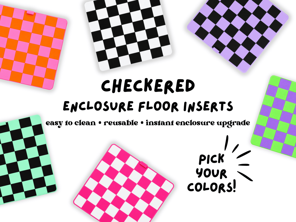 Jumping Spider Enclosure Floor Insert - Checkered - Spood Society