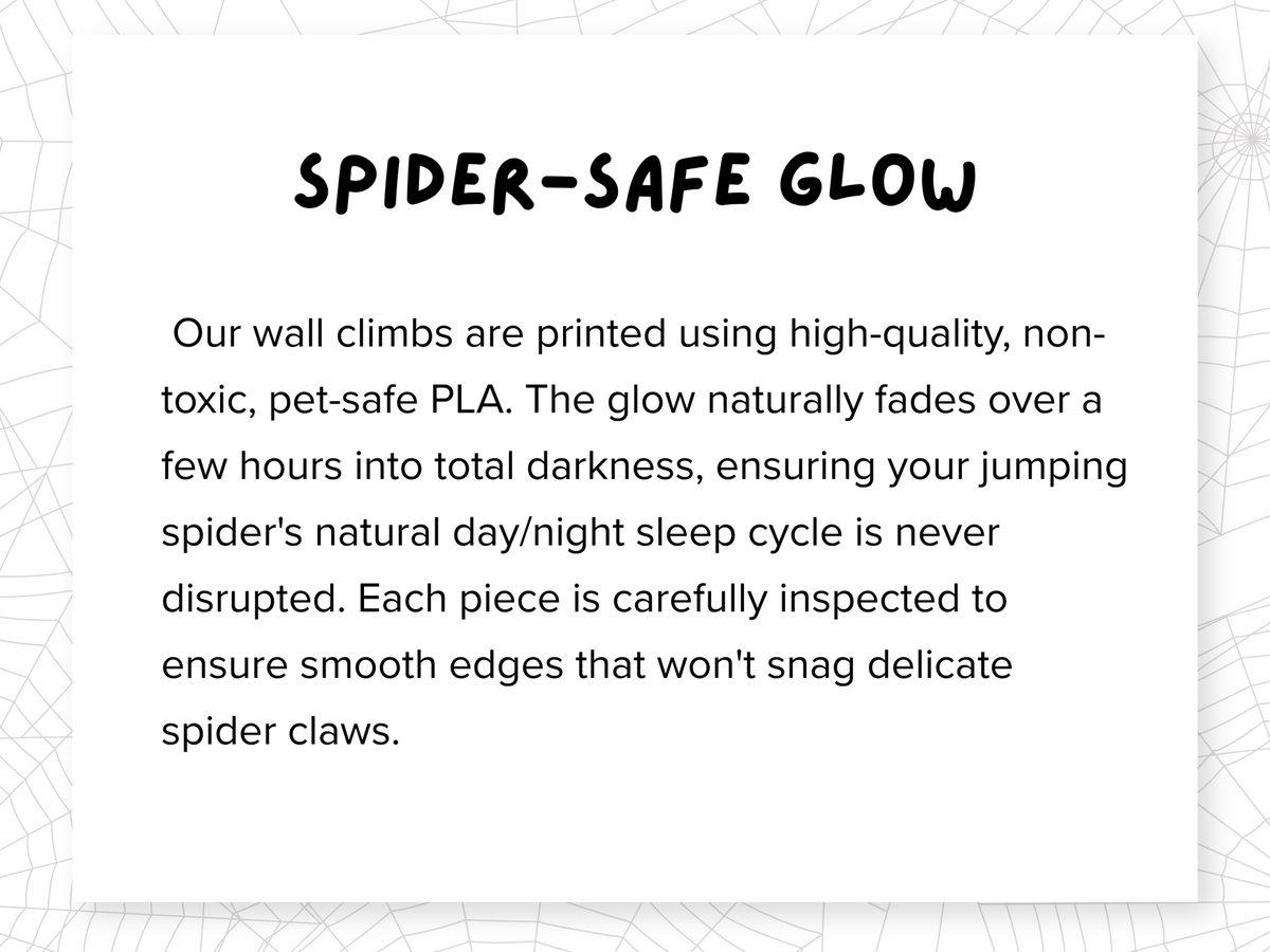 Cosmic Encounter • Glow-in-the-Dark UFO Jumping Spider Enclosure - Spood Society