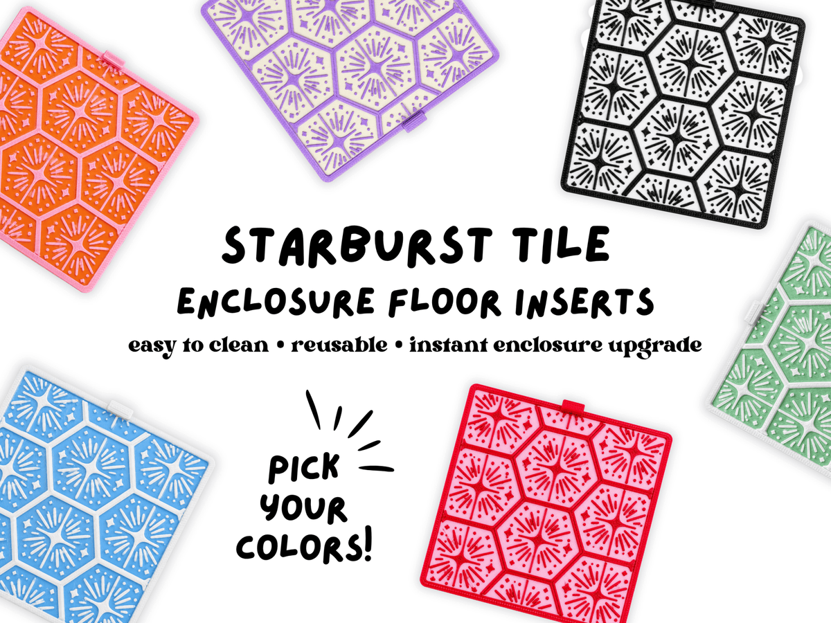 Jumping Spider Enclosure Floor Insert - Starburst Tile - Spood Society