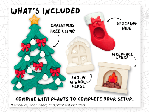 Christmas Jumping Spider Enclosure Accessory Set - Spood Society