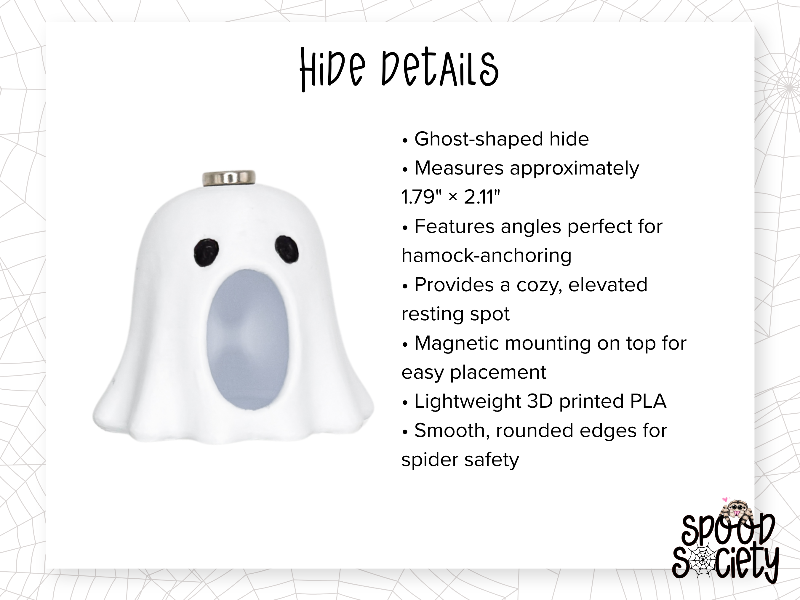Haunted Jumping Spider Enclosure Accessory Set