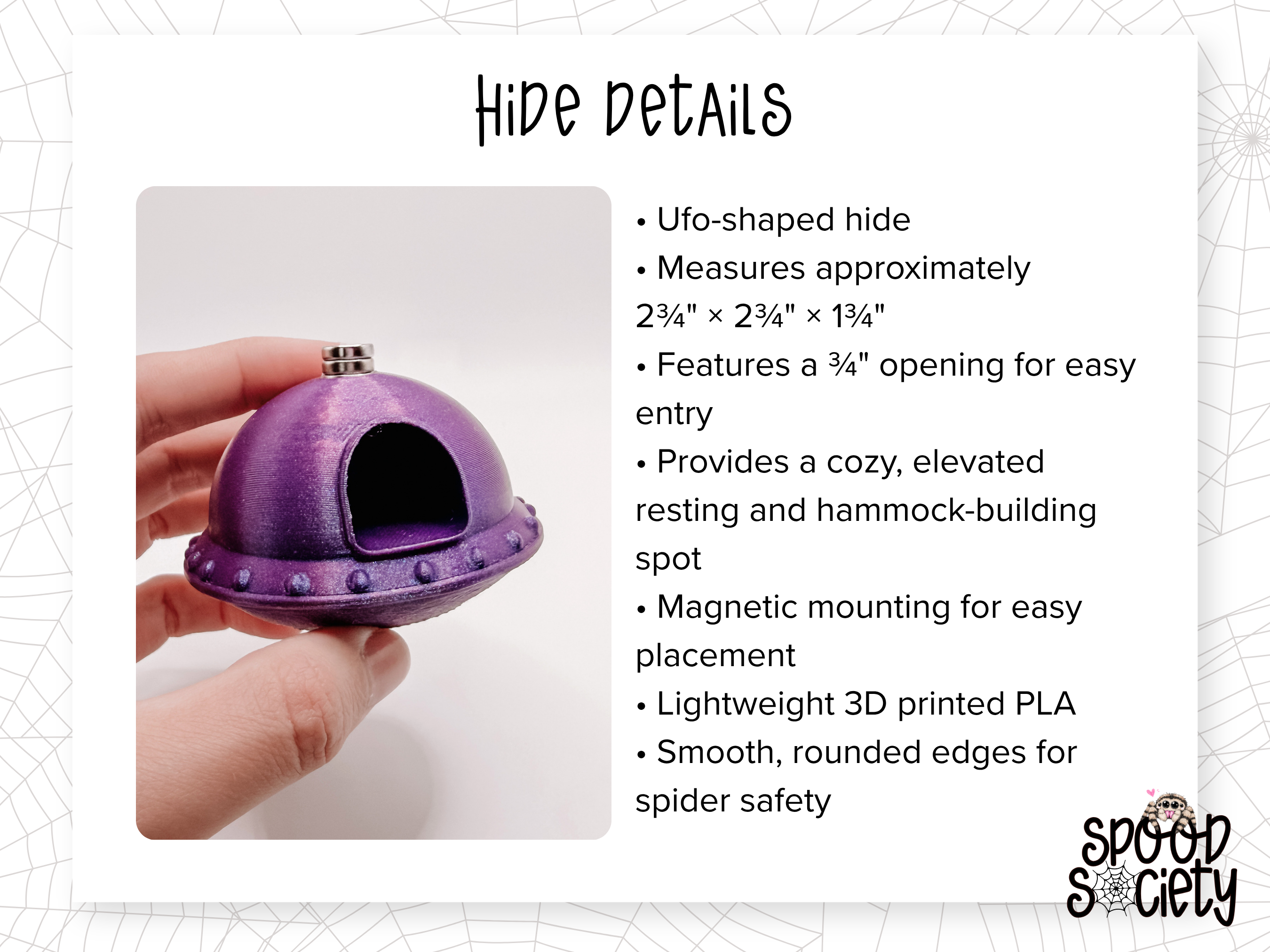 Cosmic Encounter Jumping Spider Enclosure Accessory Set