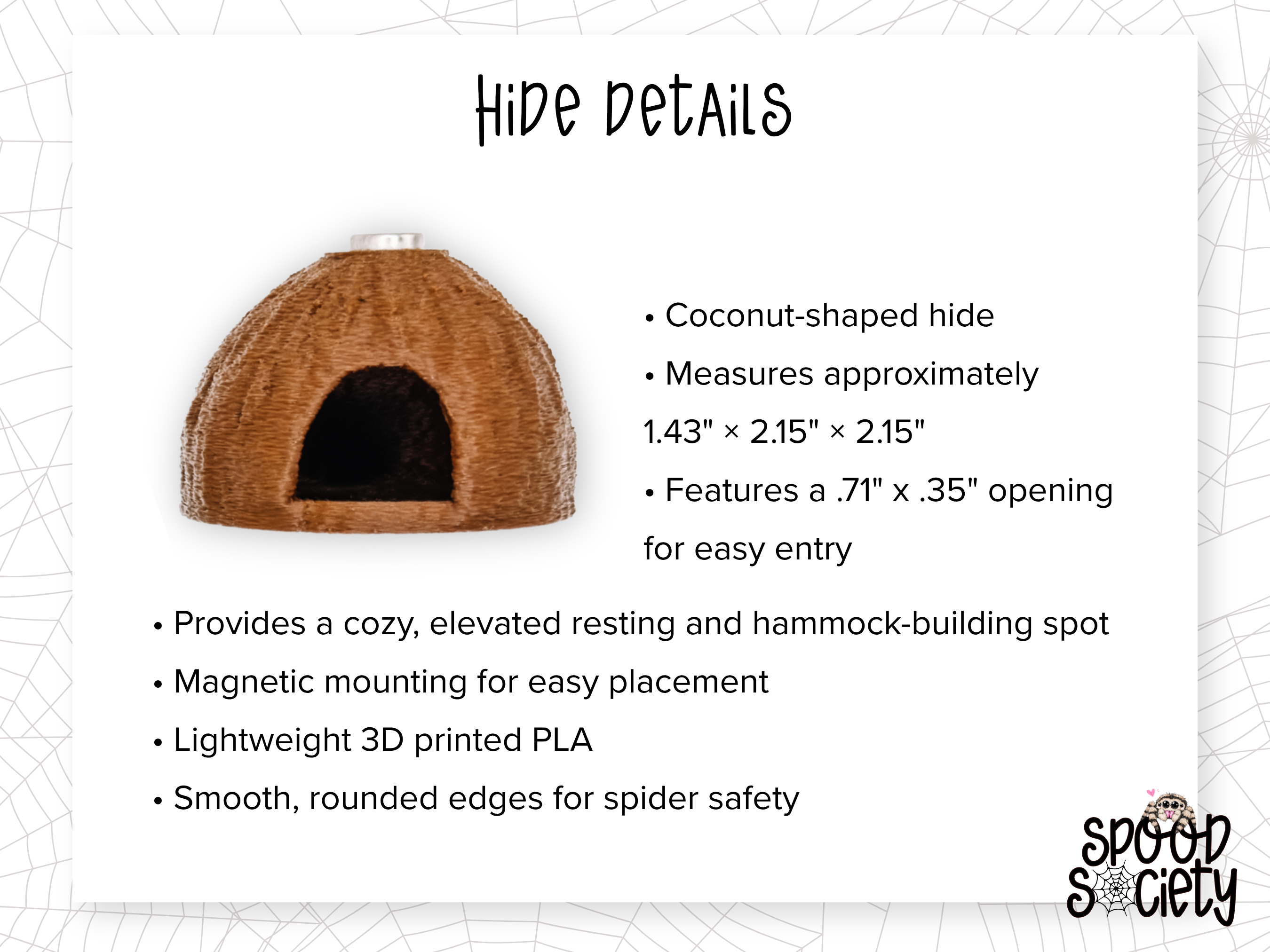 Tropical Coconut Jumping Spider Enclosure Set