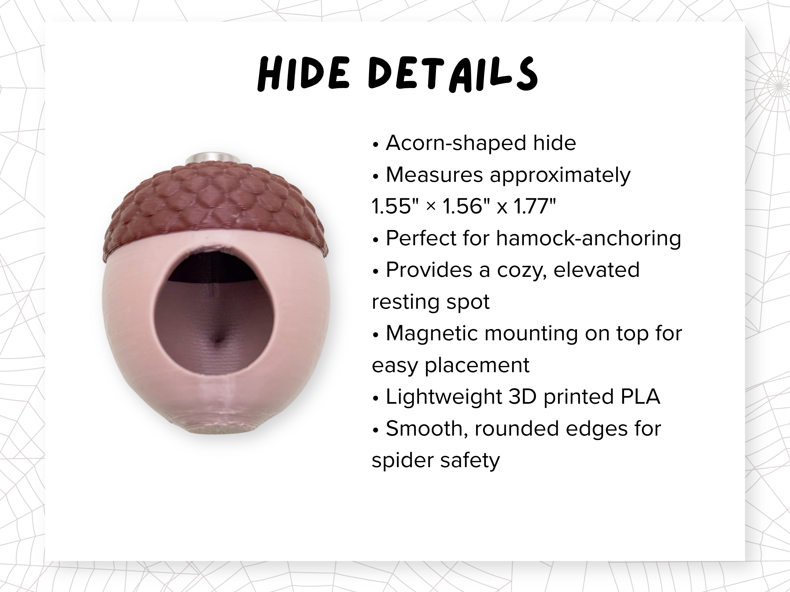Dimensions diagram for the hide included in the Woodland Whimsy Complete Jumping Spider Enclosure - Spood Society