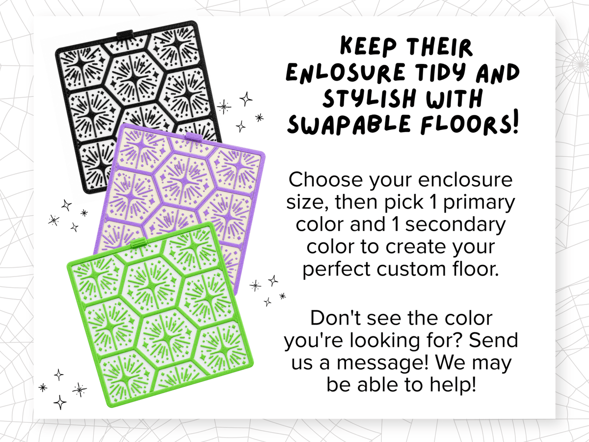 Jumping Spider Enclosure Floor Insert - Starburst Tile - Spood Society