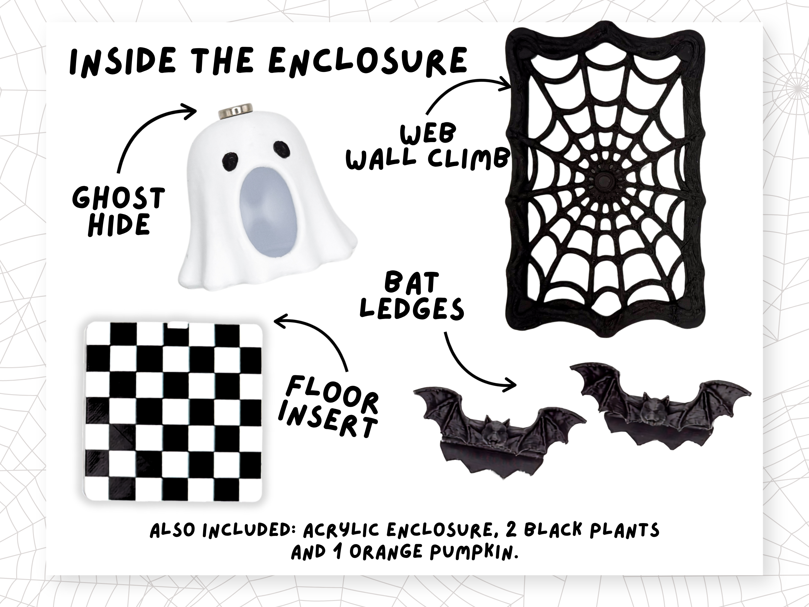 Interior view inside the Haunted Halloween Complete Jumping Spider Enclosure - Spood Society