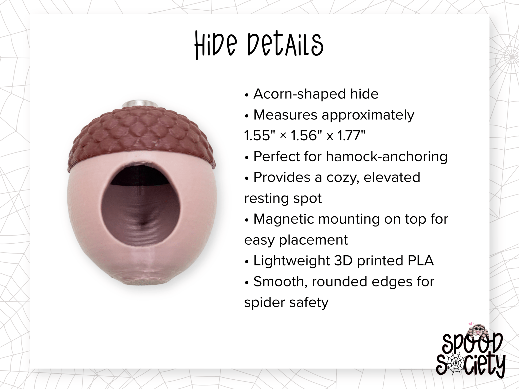 Woodland Jumping Spider Enclosure Accessory Set - Spood Society