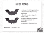 Haunted Jumping Spider Enclosure Accessory Set - Spood Society