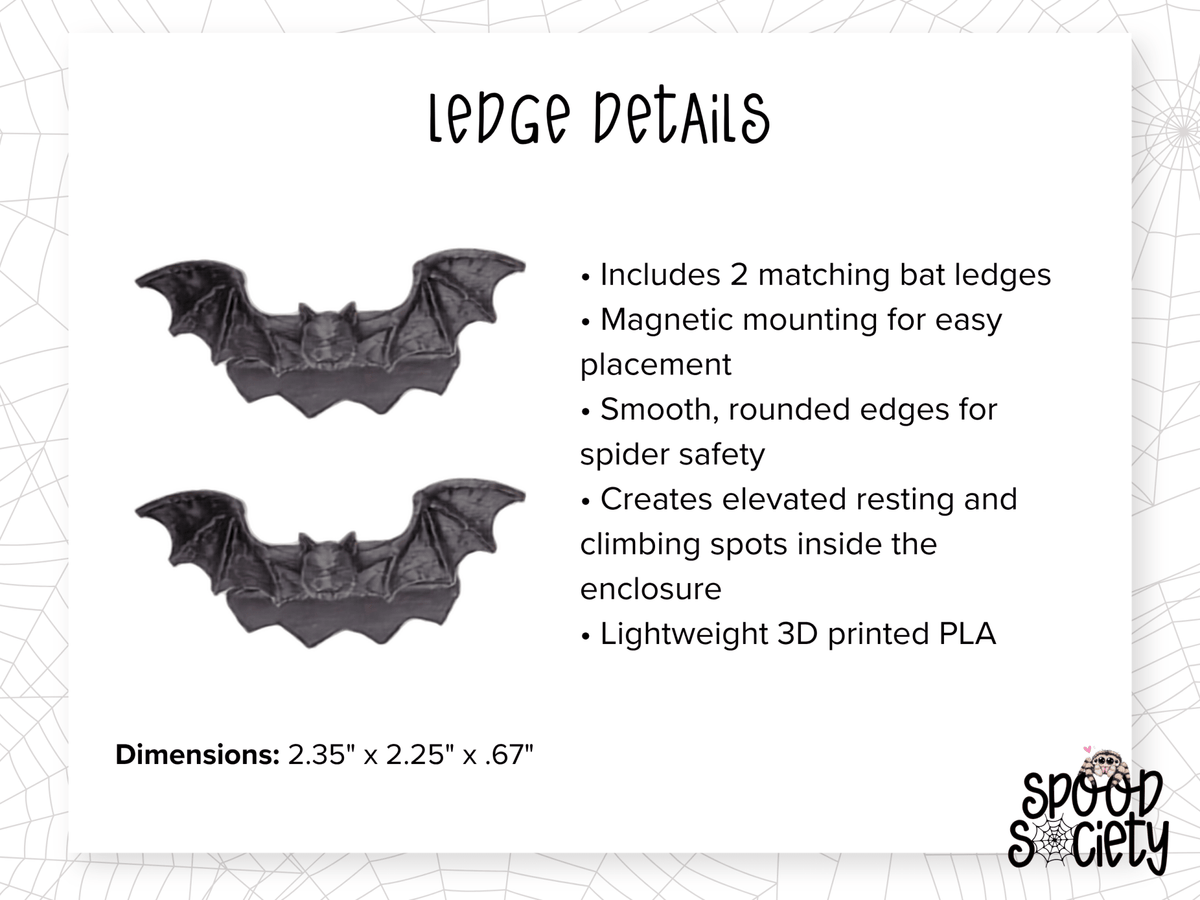 Haunted Jumping Spider Enclosure Accessory Set - Spood Society