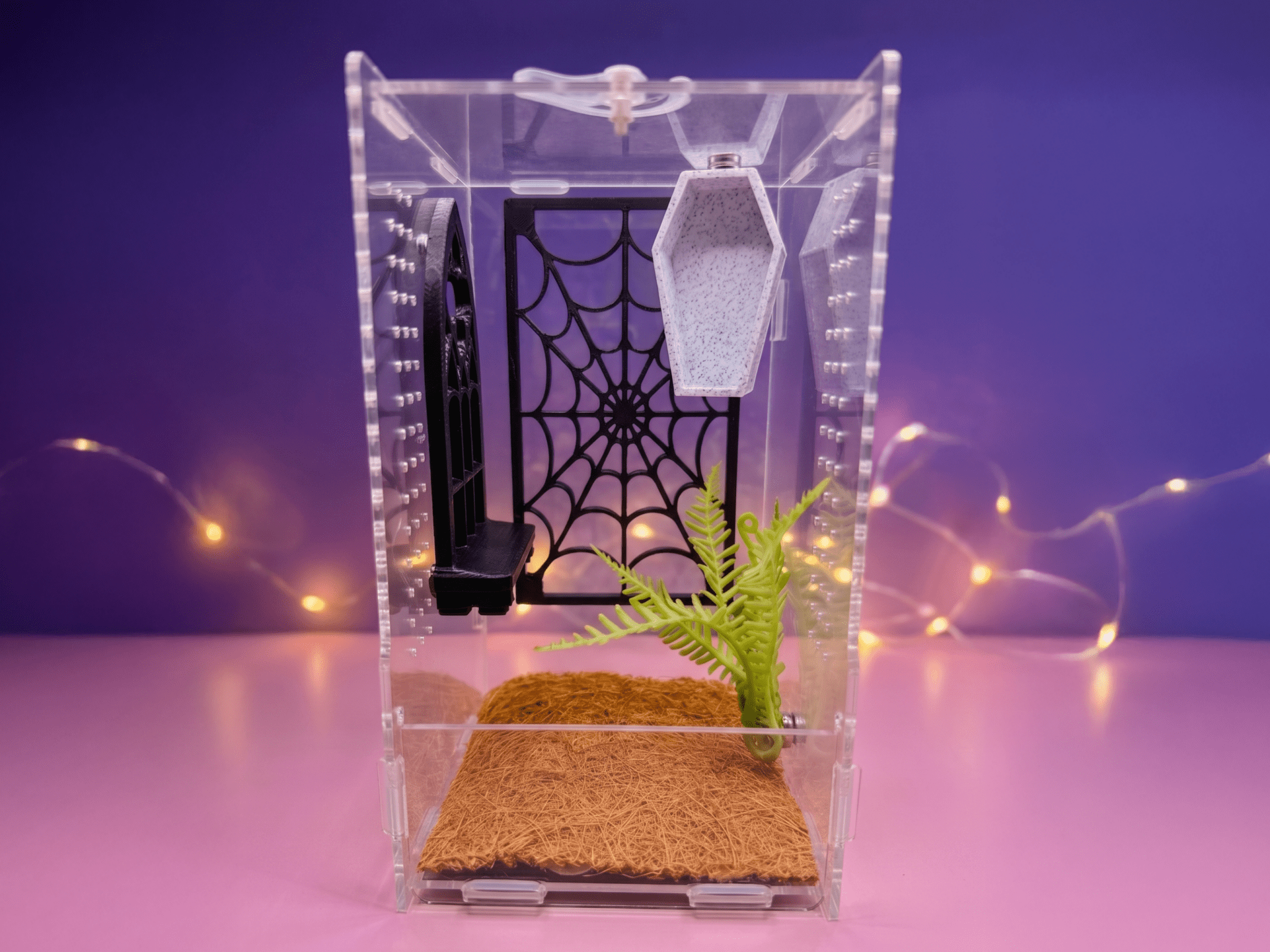 Pretty Little Crypt Jumping Spider Enclosure Set - Spood Society