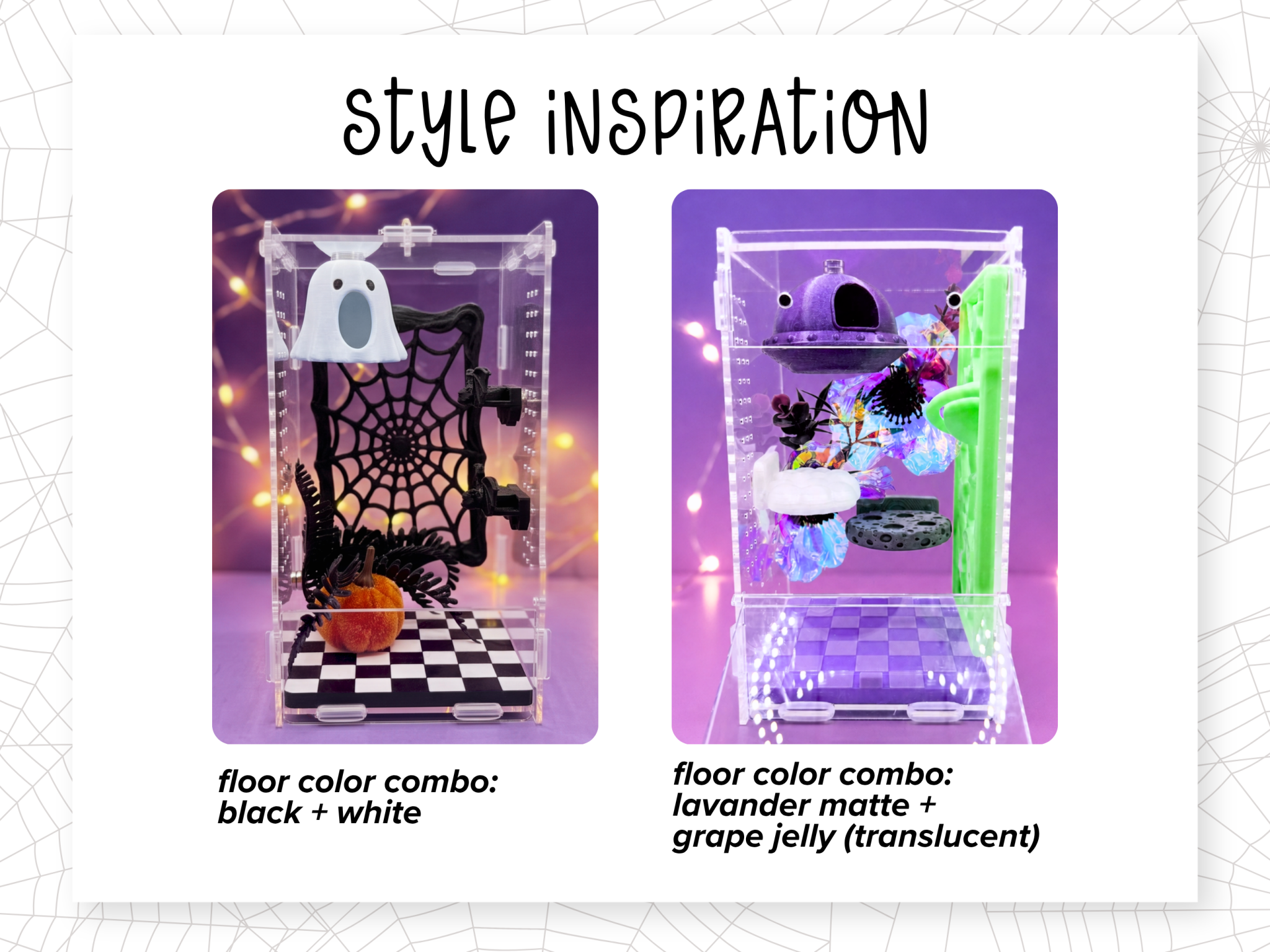 Jumping Spider Enclosure Floor Insert - Spood Society