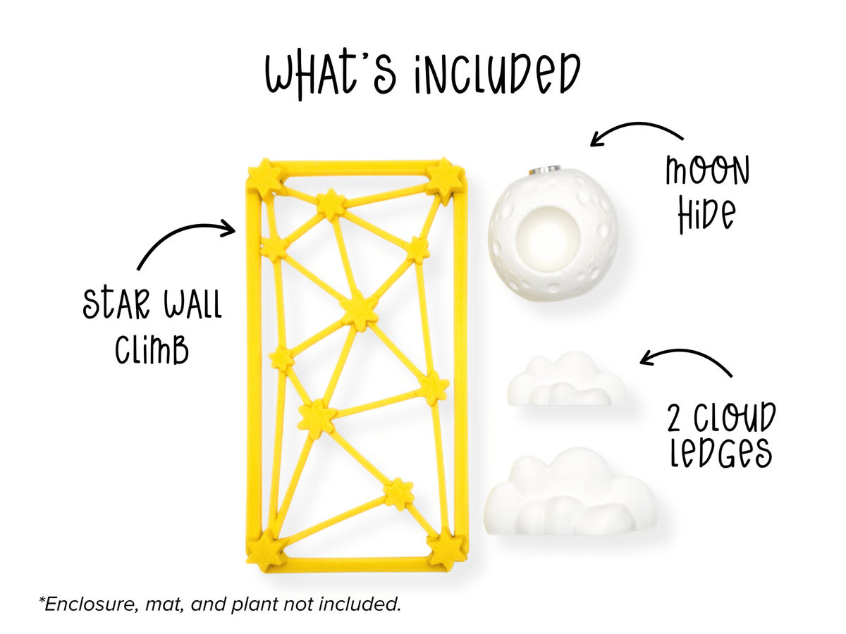 Galaxy Jumping Spider Enclosure Accessory Set - Spood Society