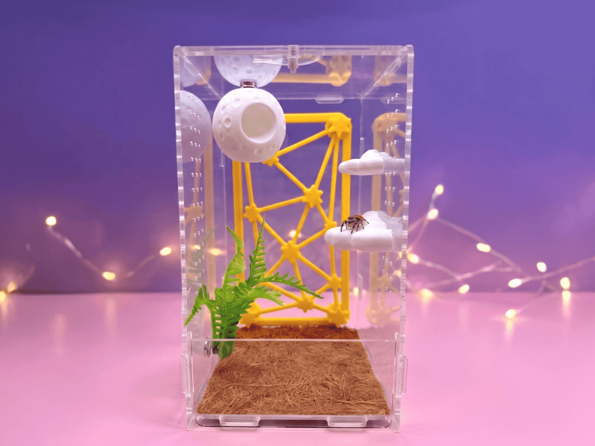 Galaxy Jumping Spider Enclosure Accessory Set - Spood Society