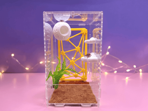 Galaxy Jumping Spider Enclosure Accessory Set - Spood Society