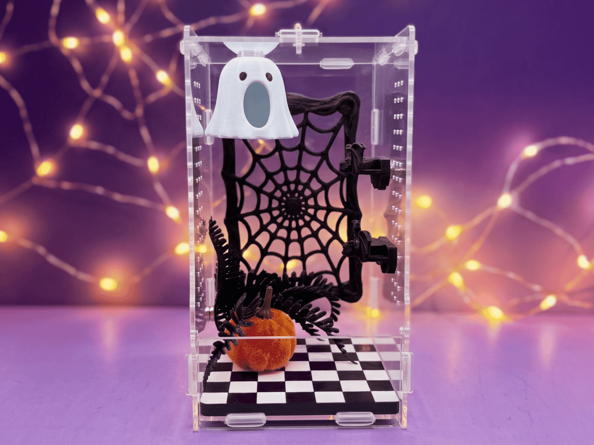 Haunted Jumping Spider Enclosure Accessory Set - Spood Society