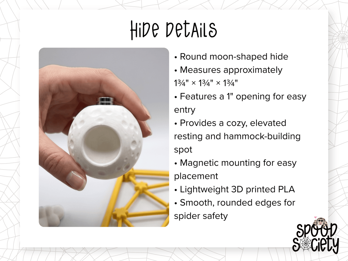 Galaxy Jumping Spider Enclosure Accessory Set - Spood Society