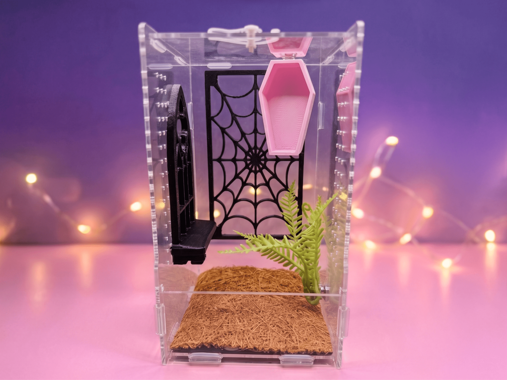 Pretty Little Crypt Jumping Spider Enclosure Set - Spood Society
