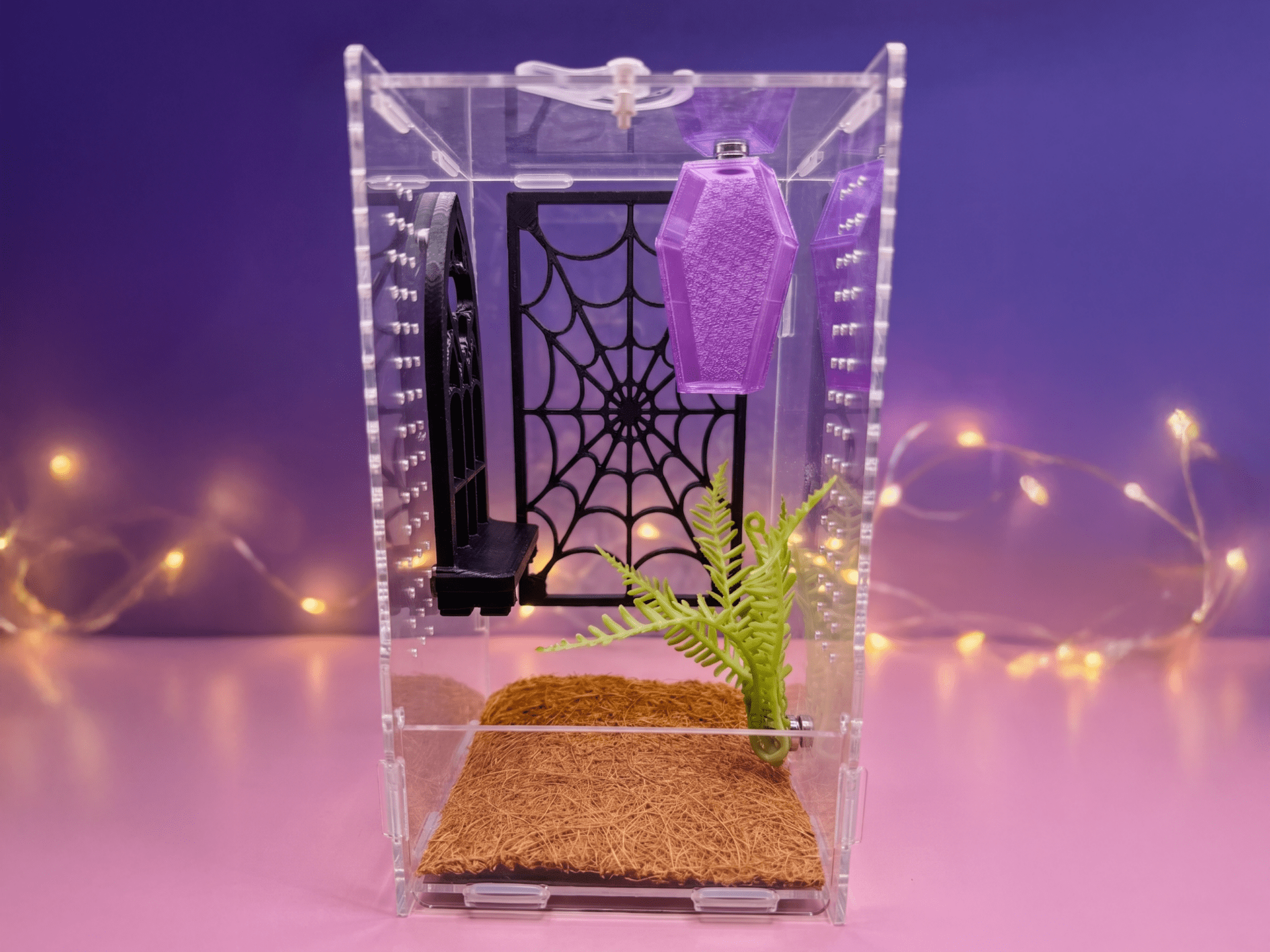 Pretty Little Crypt Jumping Spider Enclosure Set - Spood Society