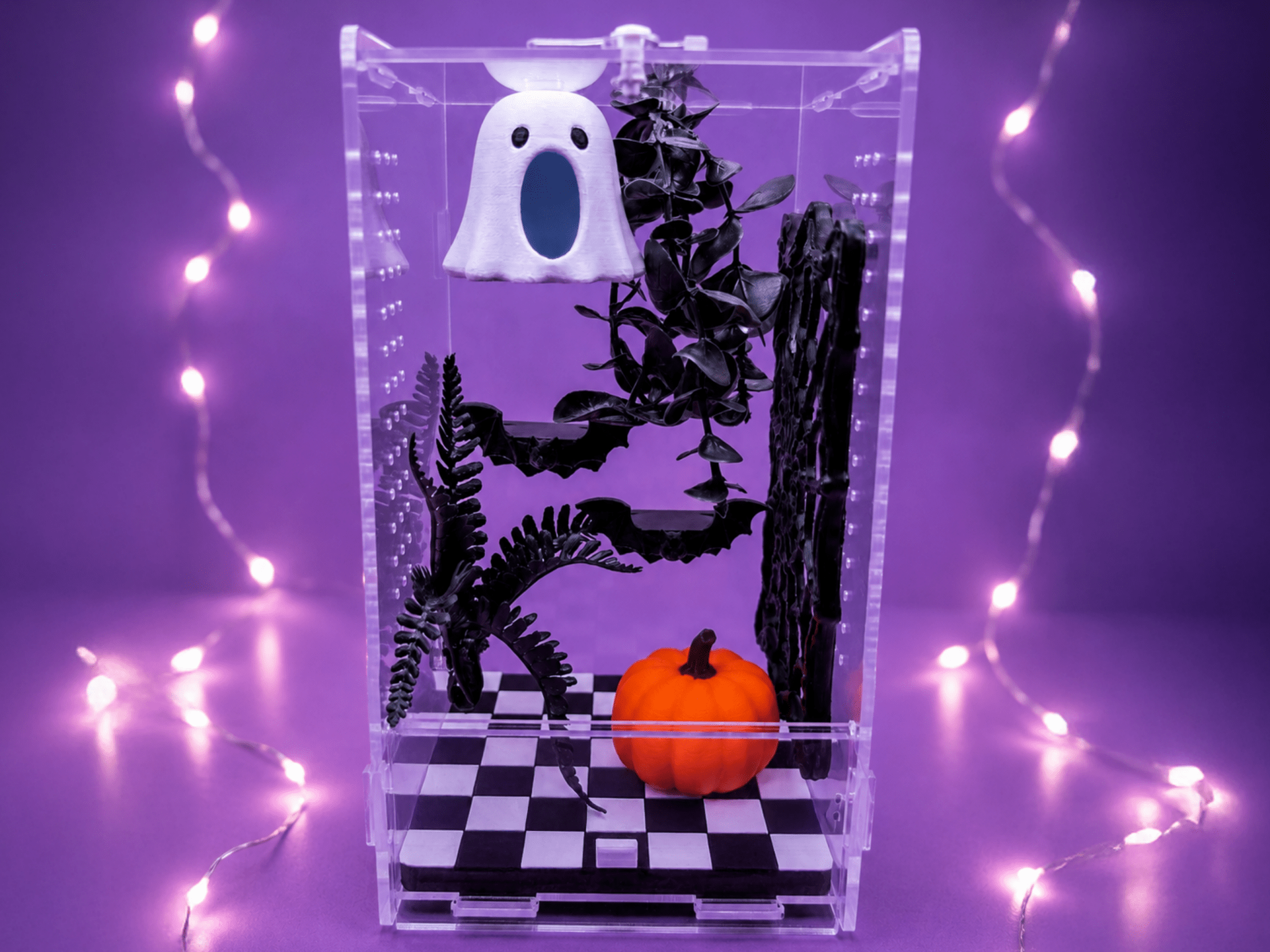 Haunted Halloween • Complete Jumping Spider Enclosure - Spood Society