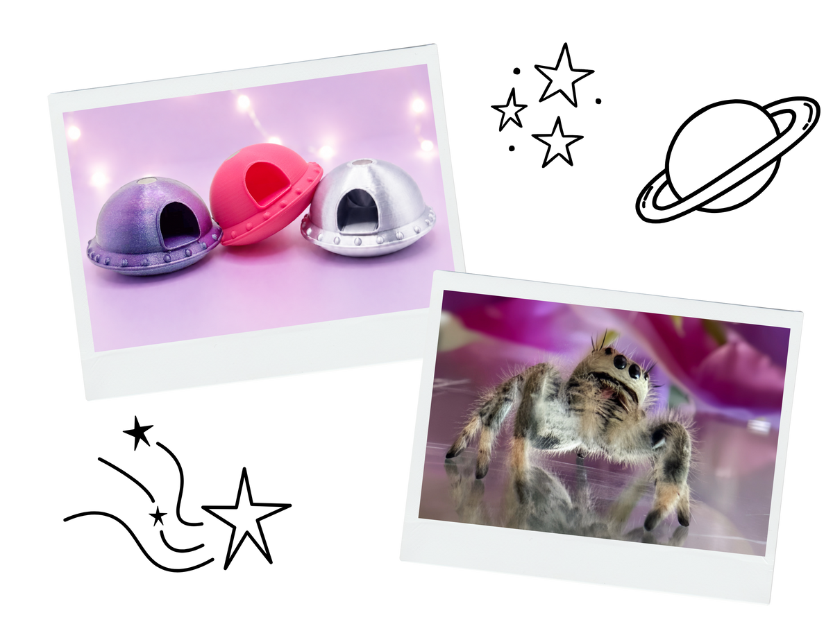 A collage-style product presentation on a white background featuring three small UFO jumping spider hides by Spood Society, in metallic silver, lavender, and pink, alongside a close-up photo of a jumping spider.