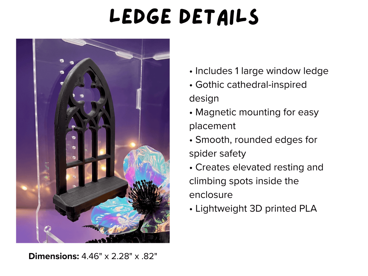 Pretty Little Crypt Enclosure • Complete Jumping Spider Enclosure - Spood Society