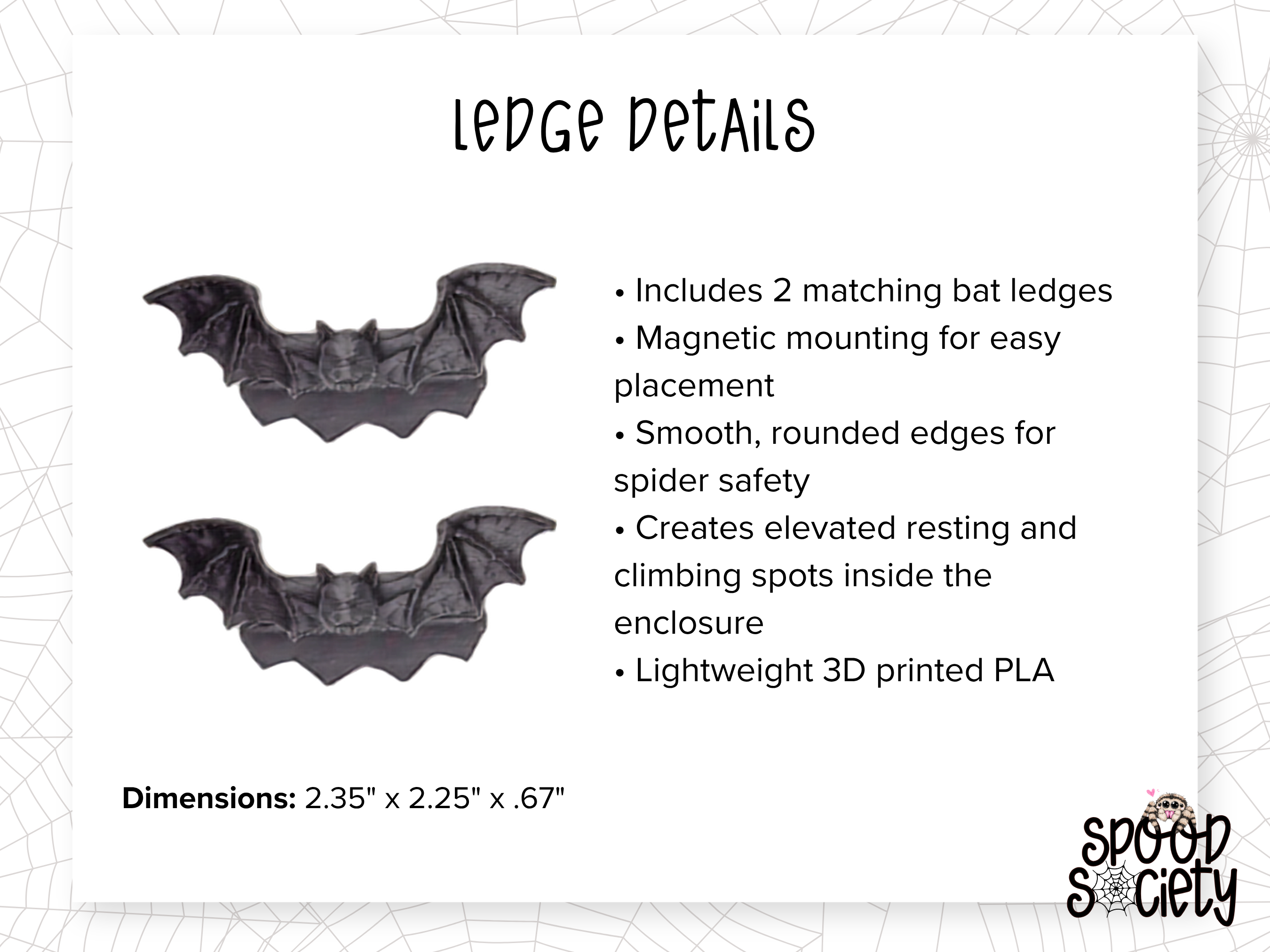 Haunted Jumping Spider Enclosure Accessory Set