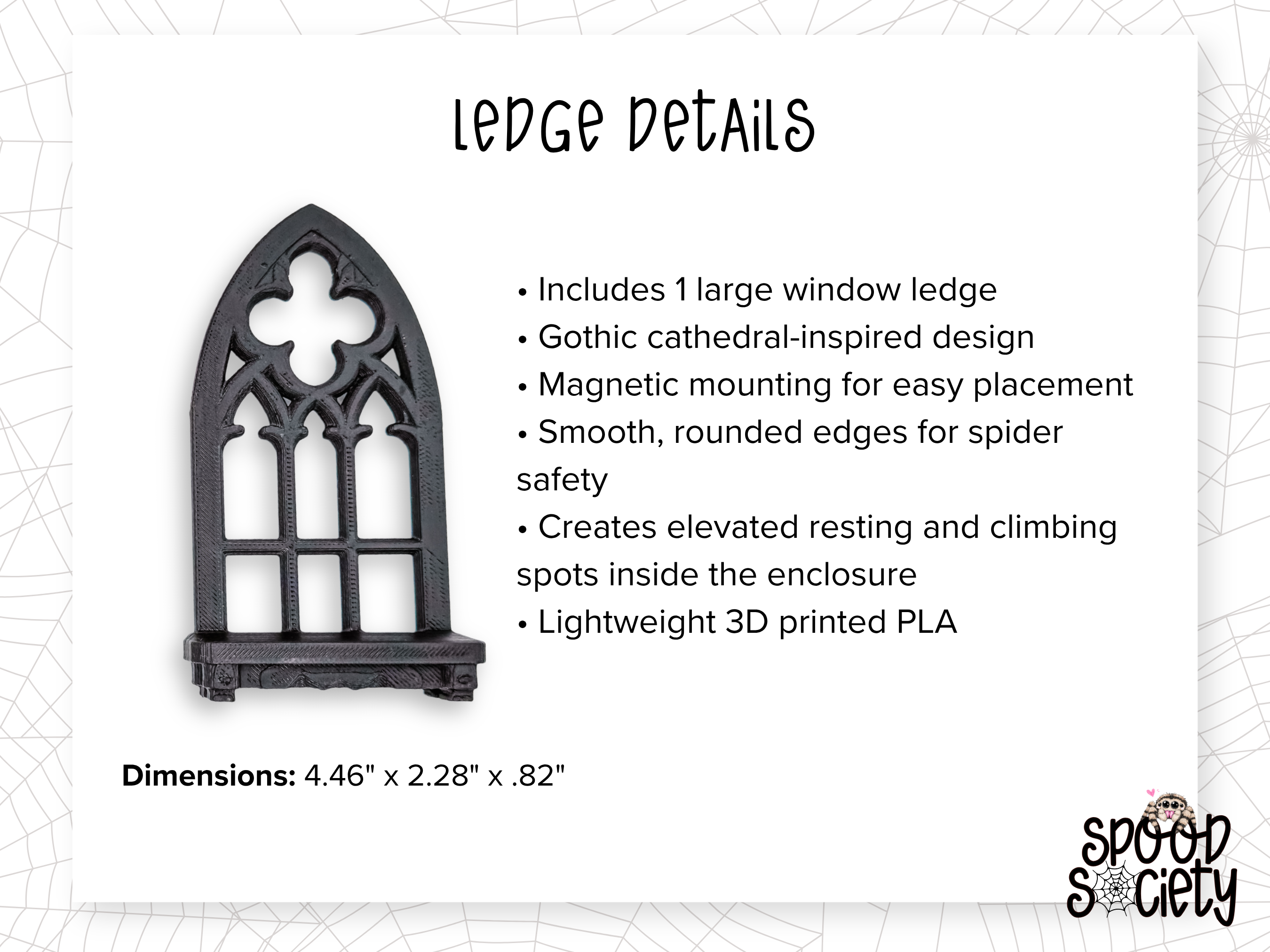 Pretty Little Crypt Jumping Spider Enclosure Set