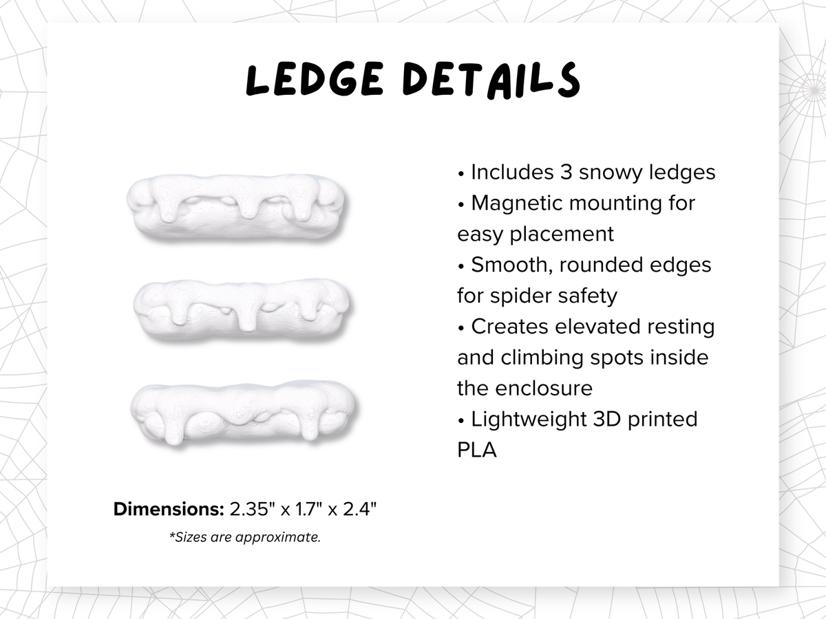 Abominable Adventure • Complete Jumping Spider Enclosure - Spood Society