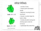 Tropical Coconut Jumping Spider Enclosure Set