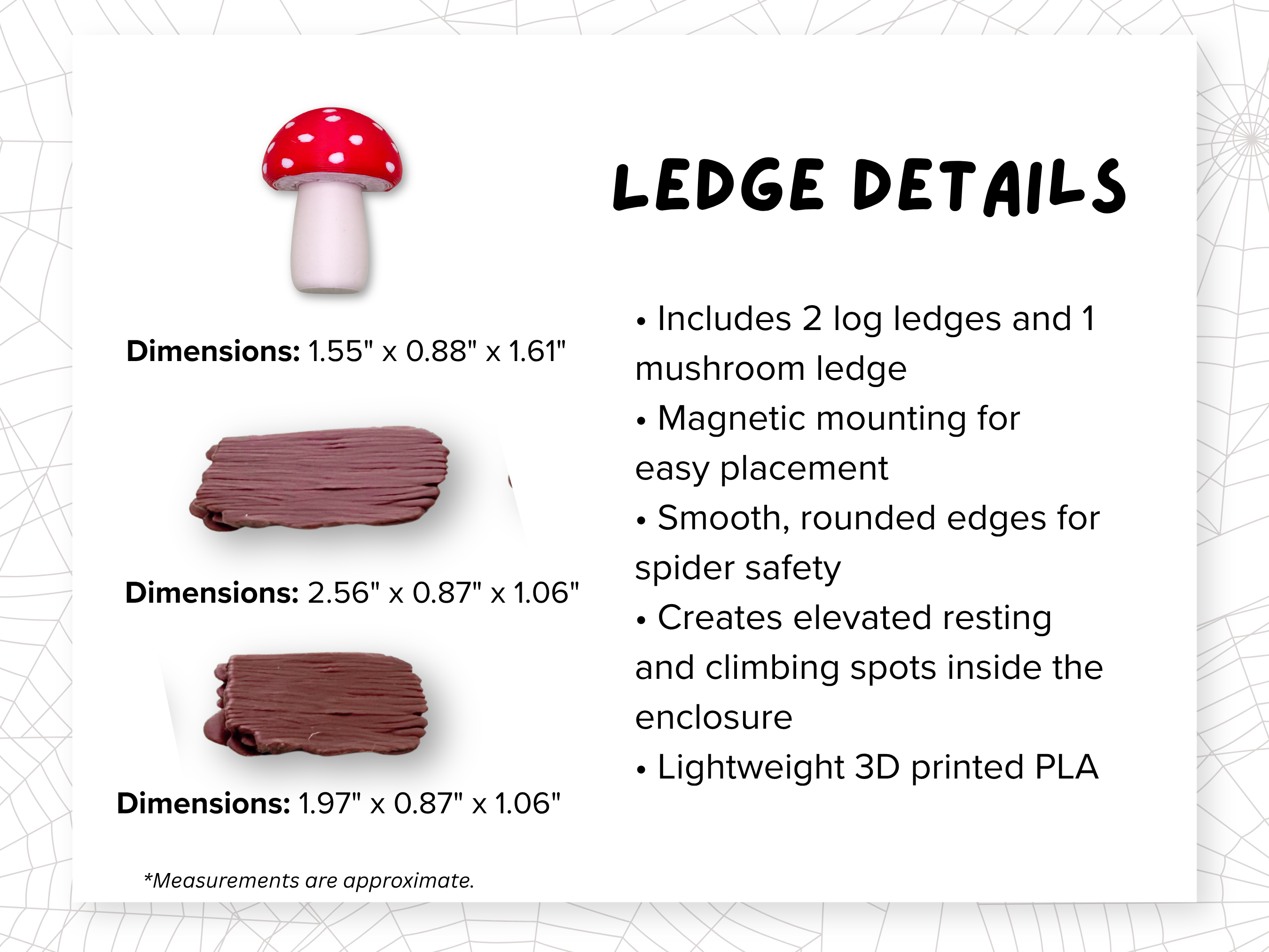 Dimensions diagram for the ledge included in the Woodland Whimsy Complete Jumping Spider Enclosure - Spood Society