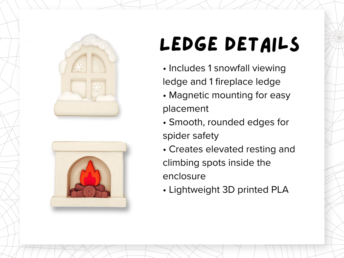 Cozy Christmas • Complete Jumping Spider Enclosure - Spood Society