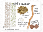 Natural Jumping Spider Starter Kit - Spood Society